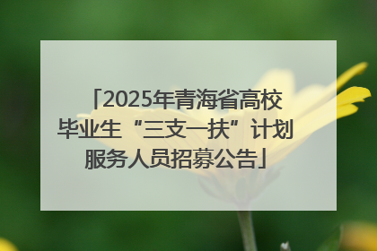 2025年青海省高校毕业生“三支一扶”计划服务人员招募公告