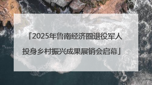 2025年鲁南经济圈退役军人投身乡村振兴成果展销会启幕