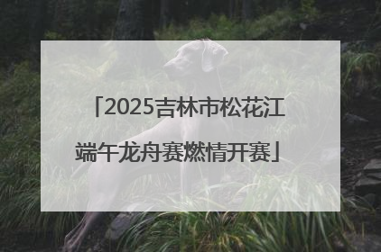 2025吉林市松花江端午龙舟赛燃情开赛