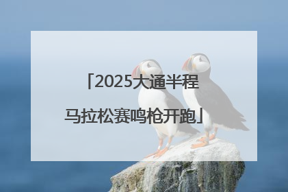 2025大通半程马拉松赛鸣枪开跑