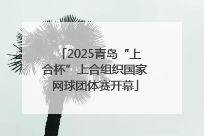 2025青岛“上合杯”上合组织国家网球团体赛开幕