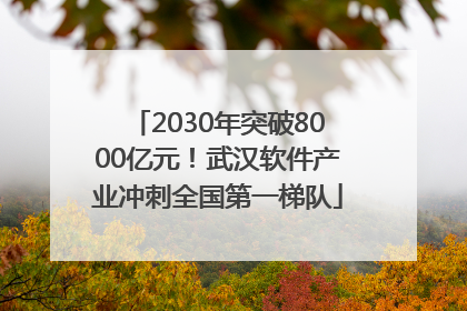 2030年突破8000亿元！武汉软件产业冲刺全国第一梯队