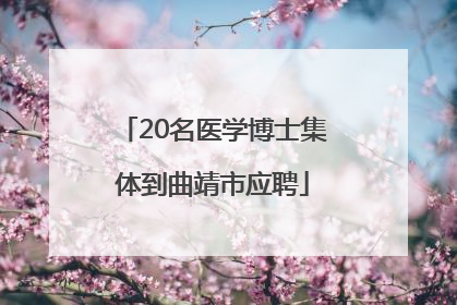 20名医学博士集体到曲靖市应聘