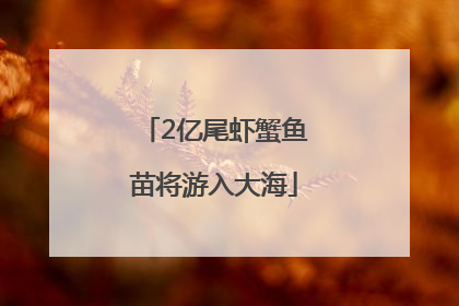 2亿尾虾蟹鱼苗将游入大海