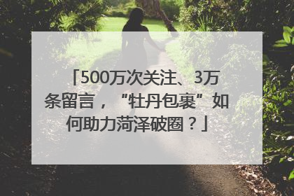 500万次关注、3万条留言，“牡丹包裹”如何助力菏泽破圈？