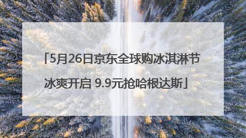 5月26日京东全球购冰淇淋节冰爽开启 9.9元抢哈根达斯