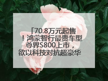 70.8万元起售！鸿蒙智行最贵车型尊界S800上市，欲以科技对抗超豪华品牌，余承东发布会未提及迈巴赫
