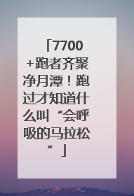 7700+跑者齐聚净月潭！跑过才知道什么叫“会呼吸的马拉松”