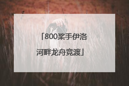 800桨手伊洛河畔龙舟竞渡