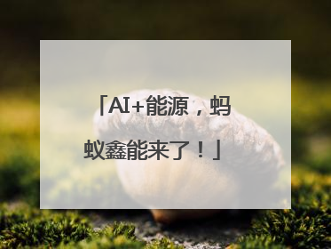 AI+能源，蚂蚁鑫能来了！