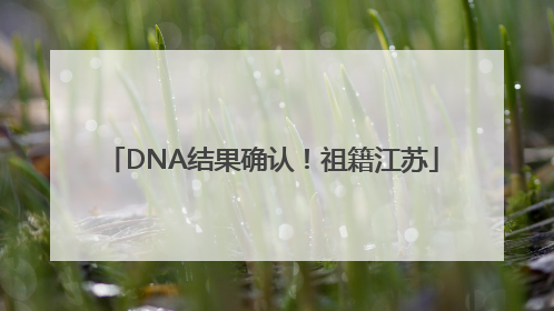 DNA结果确认！祖籍江苏