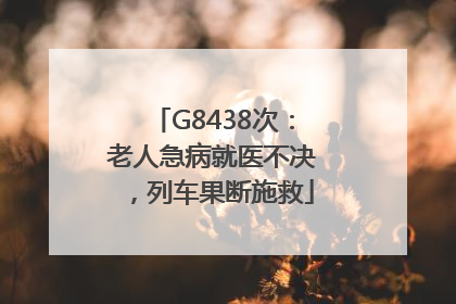 G8438次：老人急病就医不决，列车果断施救