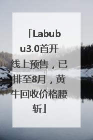 Labubu3.0首开线上预售，已排至8月，黄牛回收价格腰斩